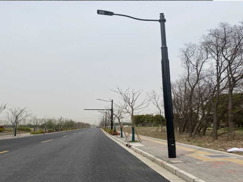 随县上海综合杆 太阳能路灯工程